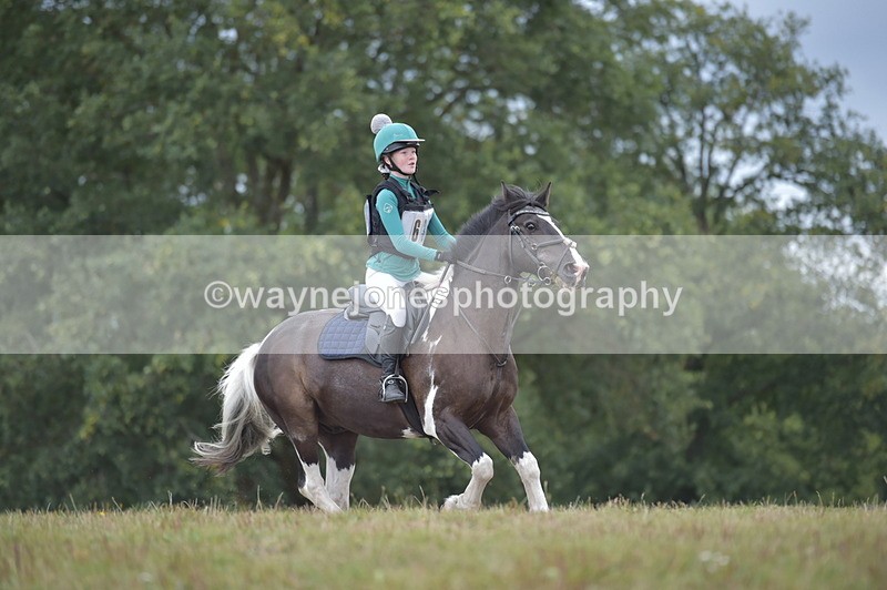 NGP_2684 - XC Time 11:37 to 11:57