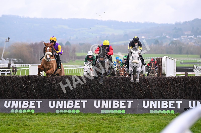 131224-Race 5-Dashel Drasher-9341 - Race 5