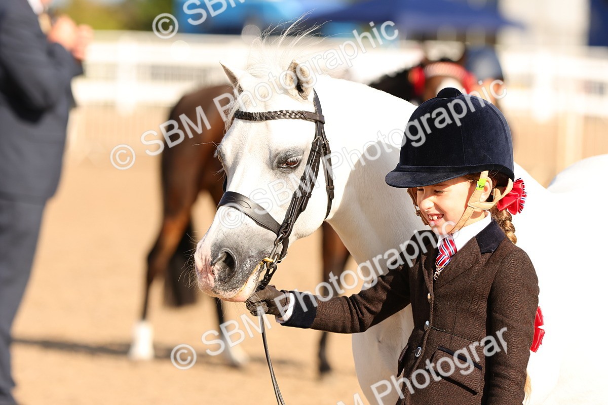 SBM_08652