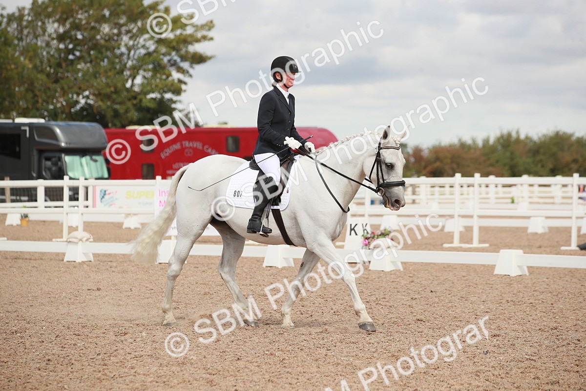 SBM_03905 - Class 31 - Prelim 1