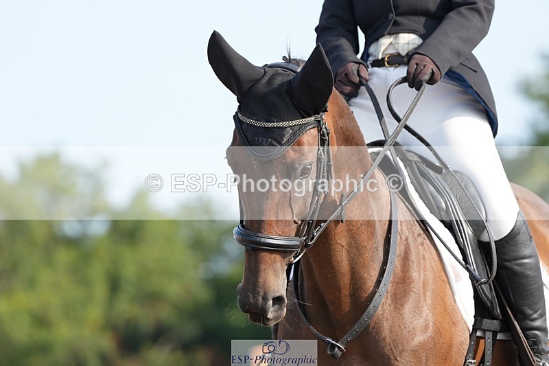 250815-091030-00036 - 005-Patricia.HaskinsGaelic.Surprise