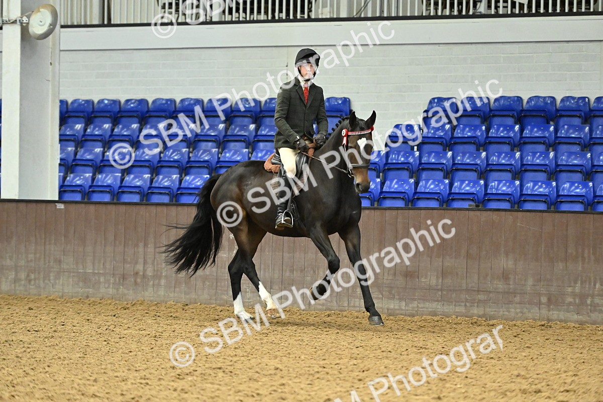 SBM_002070 - Class 23 - BSHA Ridden Show Hunter