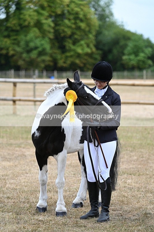 WJ7_8613 - Class 4 Prettiest Mare up to 14.2hh