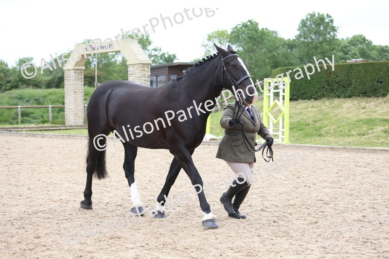 20250524-1013 - Class 9 - Cob and Hunter