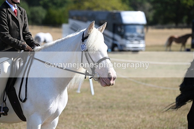 WJ6_7634 - Class 34 Judges Choice