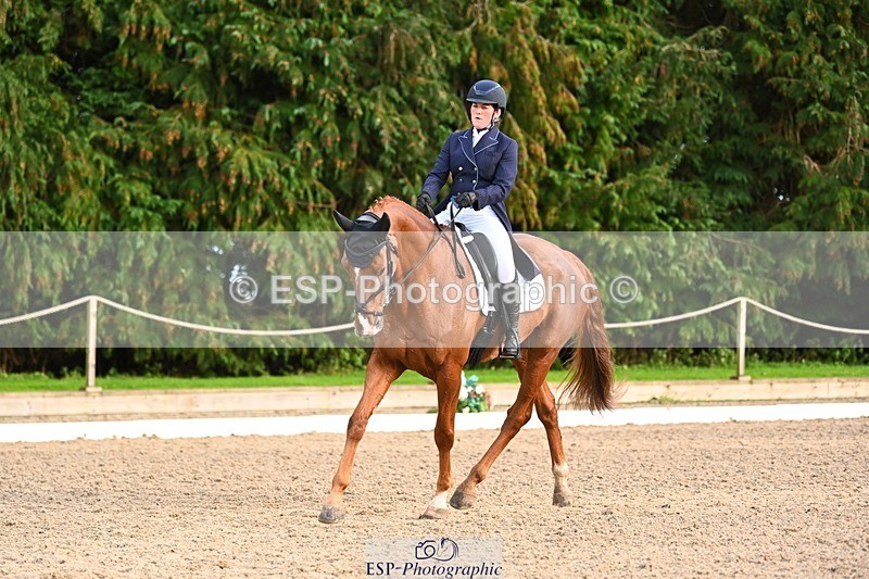 231021-161039-21042 - 264-BEST.ENDEAVOUR-Freddie.Taylor-DR