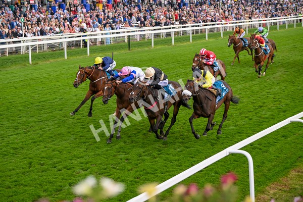 220824-Race 7-Alfa Kellenic-8087 - Race 7 5.20pm British EBF Fillies' Handicap