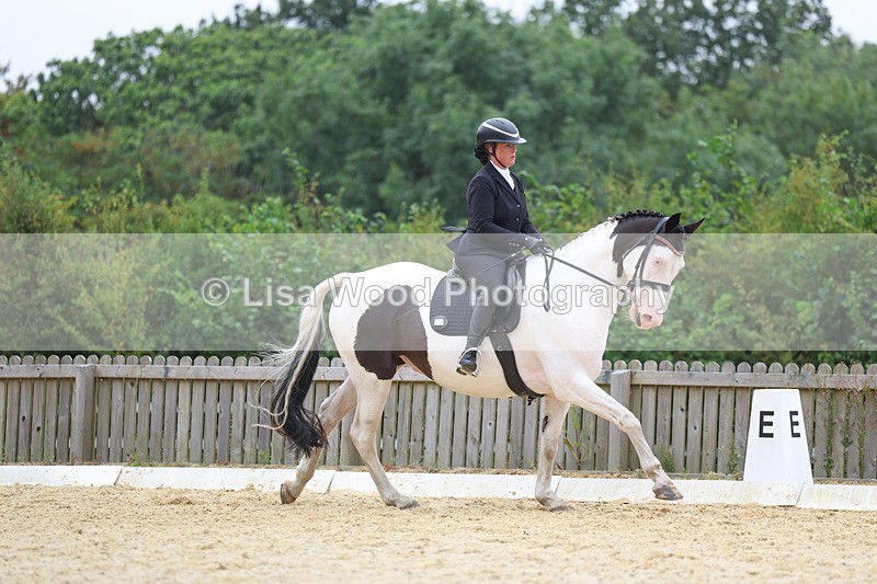 3E7A7098 - Class 7: Novice 4 2024 Section B