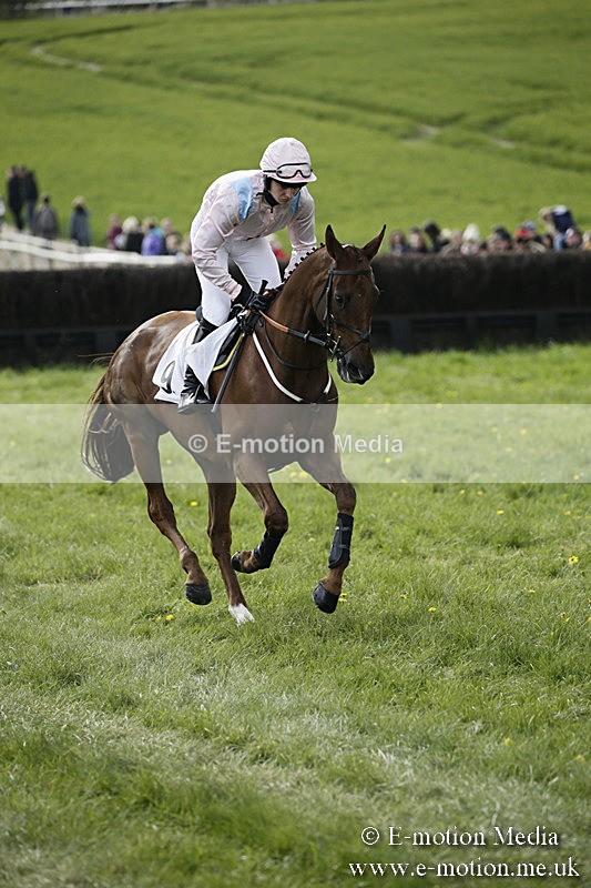PtP 170417 443 - Old Berks Point-to-Point Lockinge 17/04/17