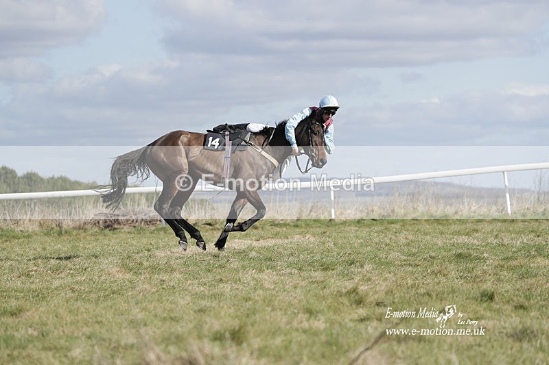 PtP 260223 482 - South & West Wilts Point-to-Point Larkhill 26/02/23