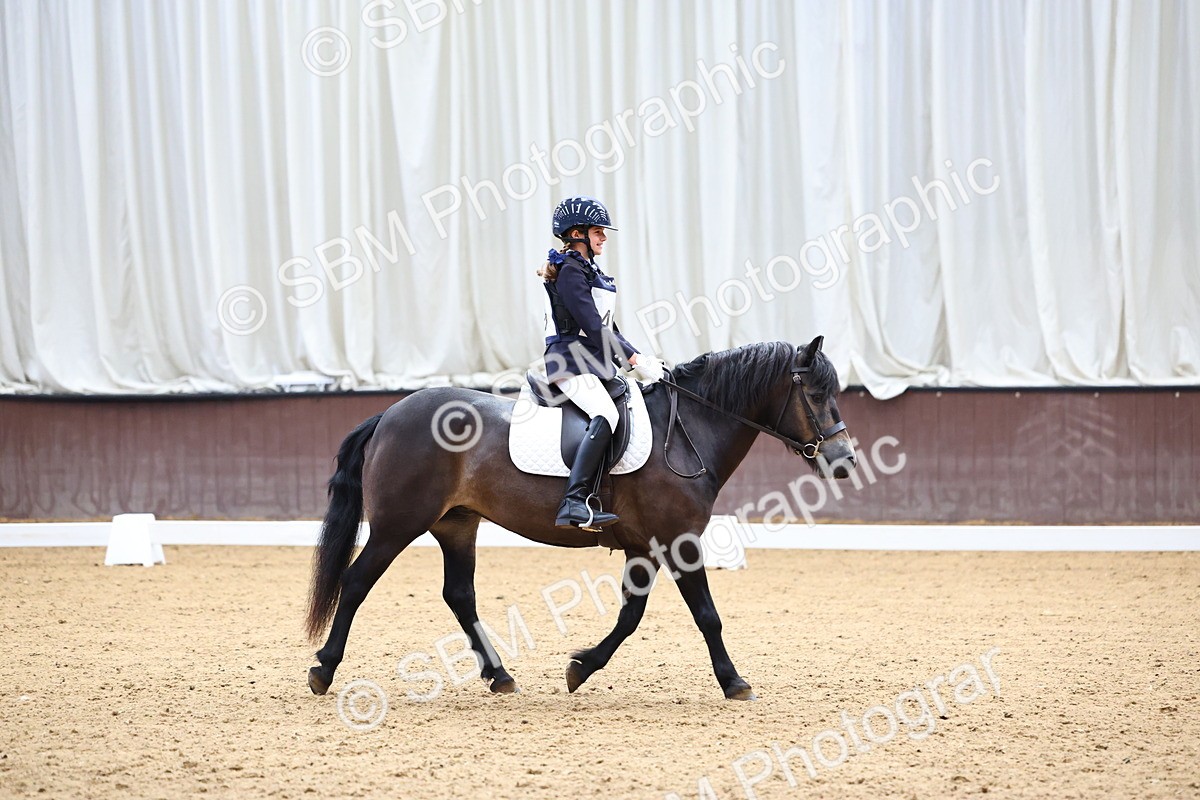 SBM_003389 - Intro 2