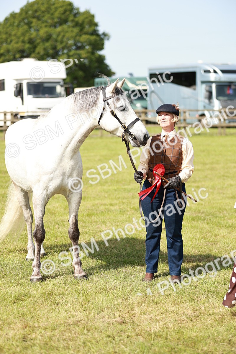 SBM_01681 - Class 14-23 - Mountain & Moorland In Hand Non Welsh