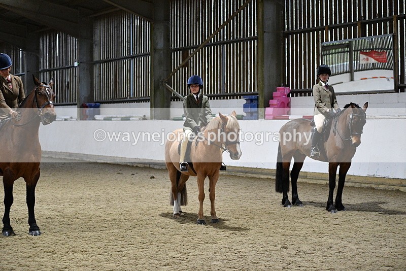 WJ5_8703 - Class 14 Novice Ridden/Rider