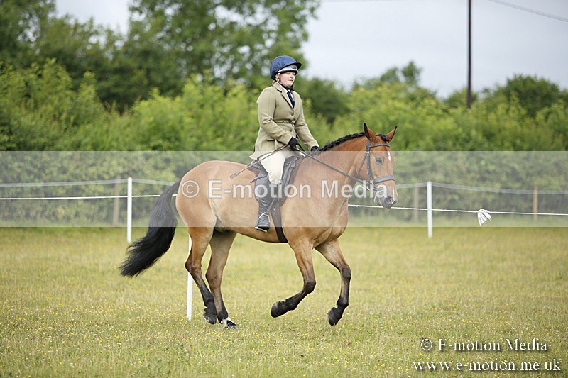 BVR160717-256 - Ring 1 BVRC Show 16/07/17