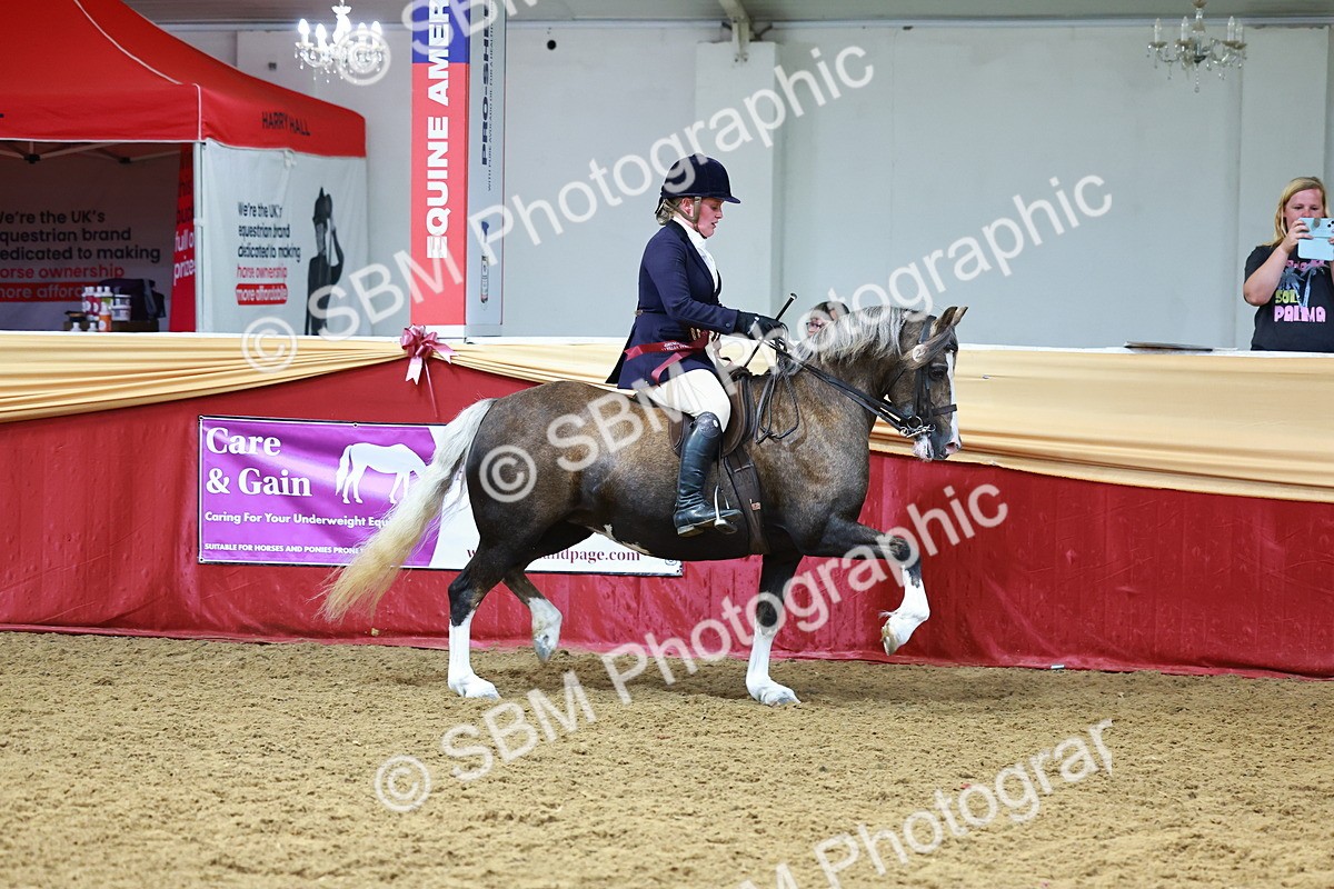 SBM_23223 - Class 905 - Supreme Final - Ridden Veteran