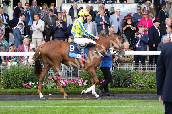 yr19082022r6-8 - Race 6 4.45 pm British Stallion Studs EBF Convivial Maiden Stakes