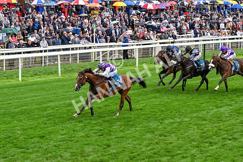 200826-Race 6-Mia Fantasia-0742 - Race 6 16.45pm Mews Hotel Ossett EBF Stallions Nursery Handicap
