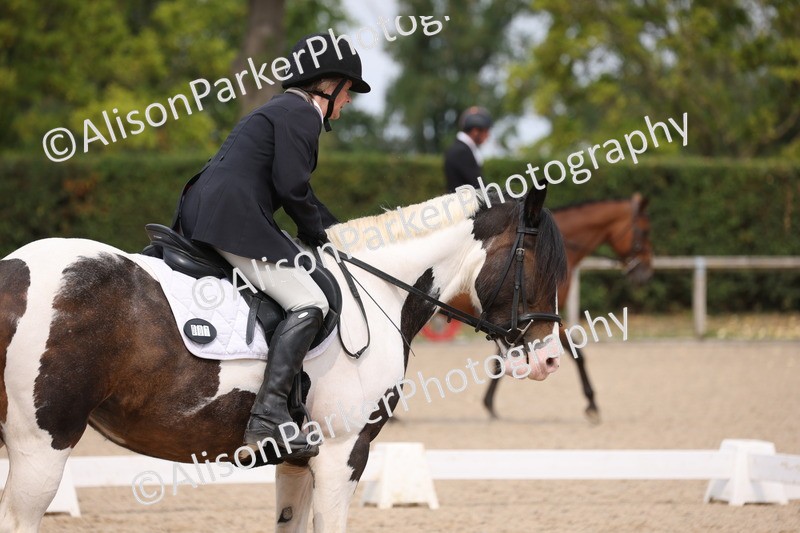 20250819-1361 - Class 4 - Novice 2