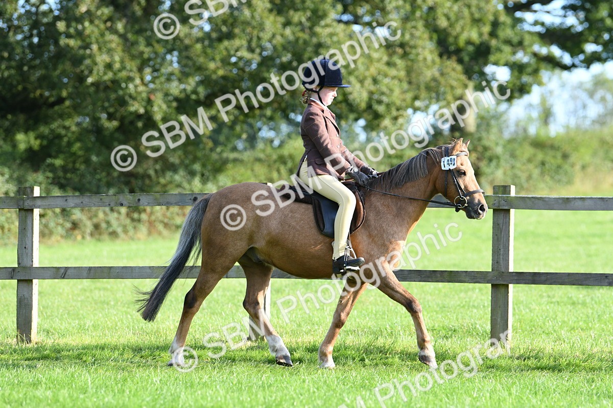 SBM_53983 - S23 - 1st Ridden Mountain & Moorland Pony
