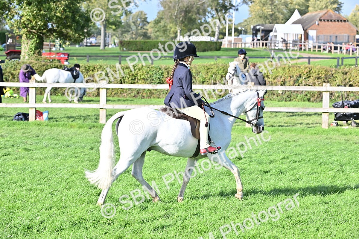 SBM_51215 - S22 - First Ridden show and show Hunter Pony