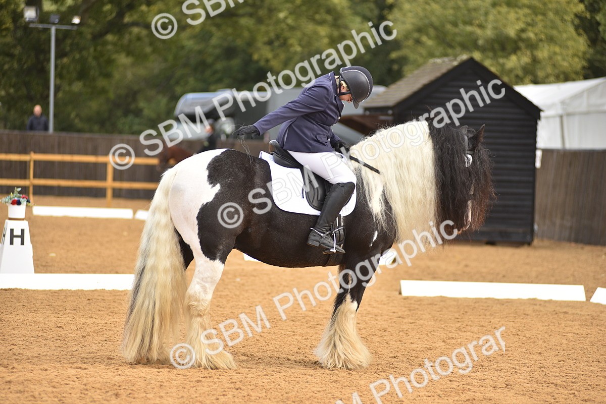 SBM_02170 - D7 - Small Tour Championship Prelim 2