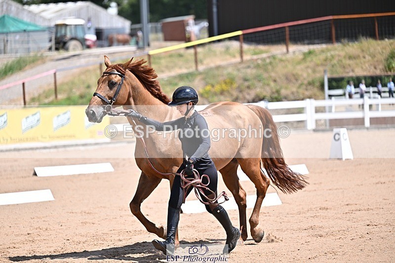 250716-123627-00069 - Trot Up 12.30 to 1.30