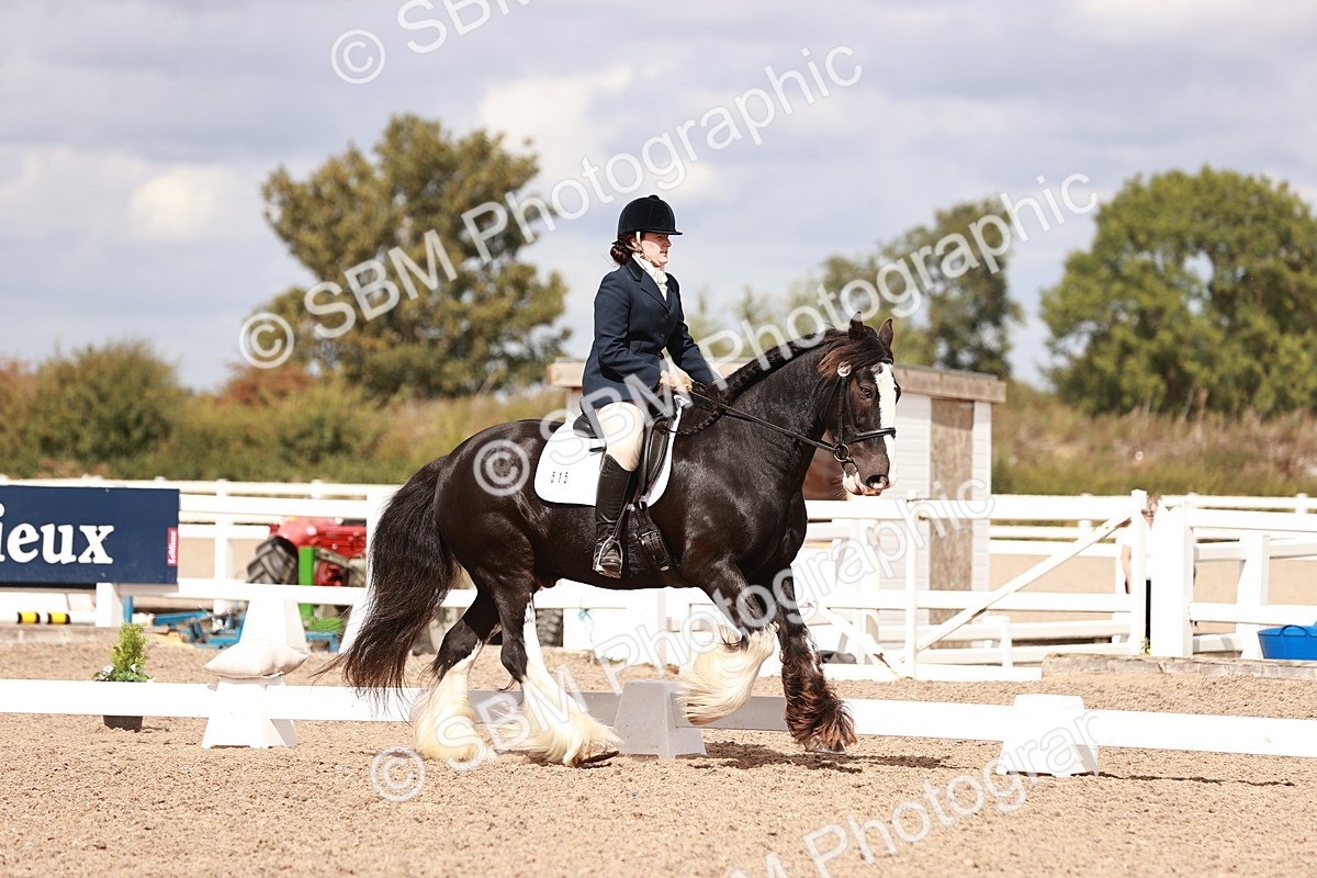 SBM_06202 - Class 37 - Novice 5