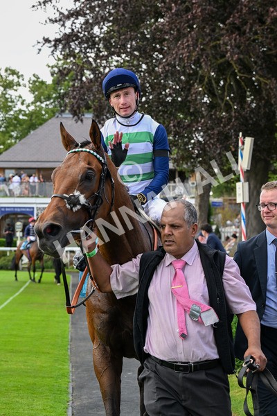 280625-Race 5-Turquino-0517 - Race 5 4.15pm Al Basti Equiworld Dubai Handicap