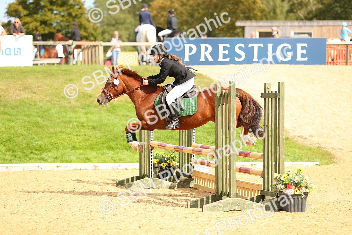SBM_66023 - J17 - Junior Pony 80cm Championship