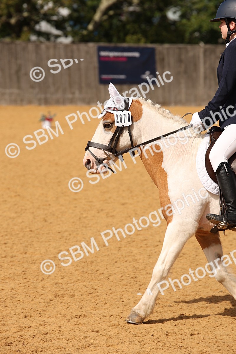 SBM_21800 - D5 - Small Tour Championship - Intro C