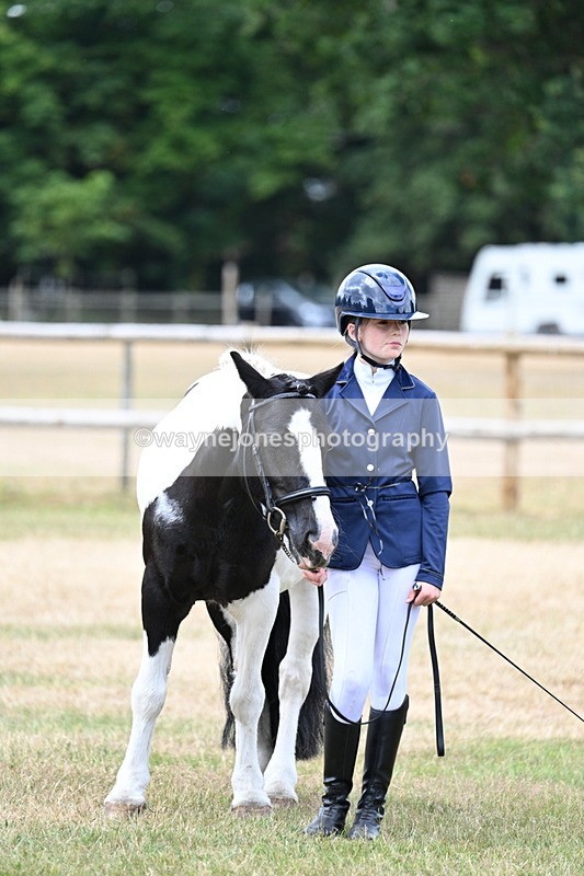 WJ7_1489 - Class 4 Prettiest Mare up to 14.2hh in hand