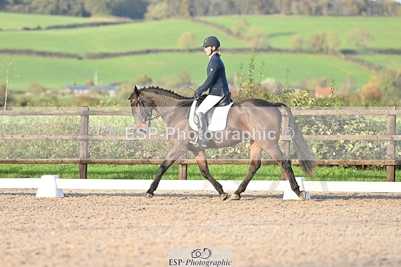 231105-153419-03070 - Cls 4 Novice 24 15.24 to 16.35 break