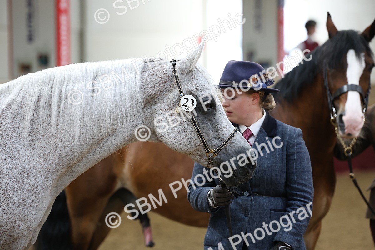 SBM_22469 - Class 902 - Supreme Final - IH Diamond