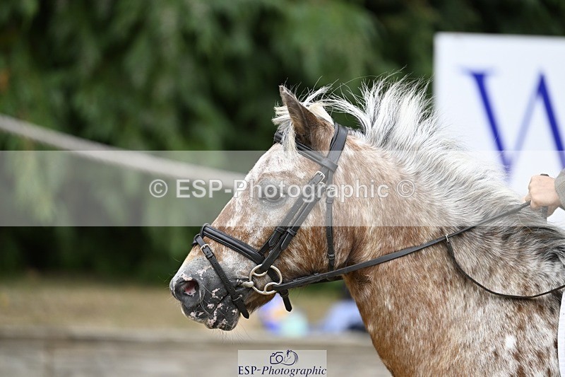 250820A-124821-06669 - Round 1, Start to 1.30pm Break