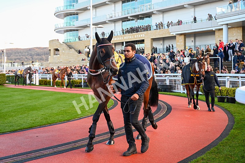 141224-Race 1-Quantock Hills-0237 - Race 1