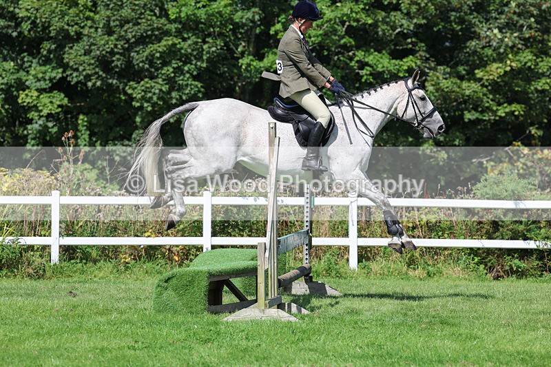 3E7A8579 - Class 5: Working Show Horse