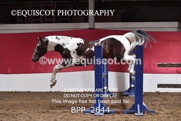BPP_2644 - LOOSE JUMPING / SPSS