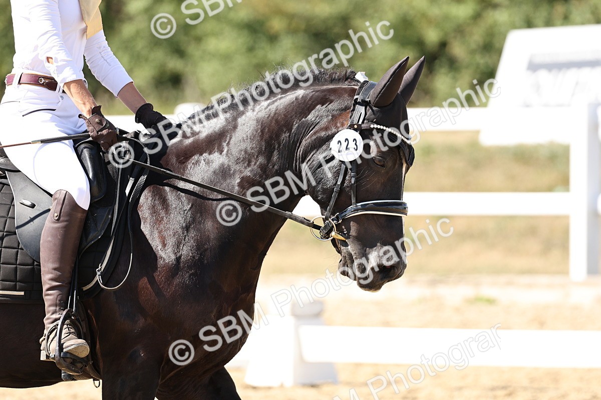 SBM_003422 - Prelim 4 - 13.41-16.04