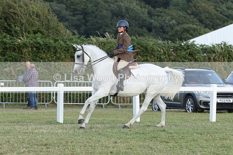 JPP_3723 - Class 24: Open Working Hunter