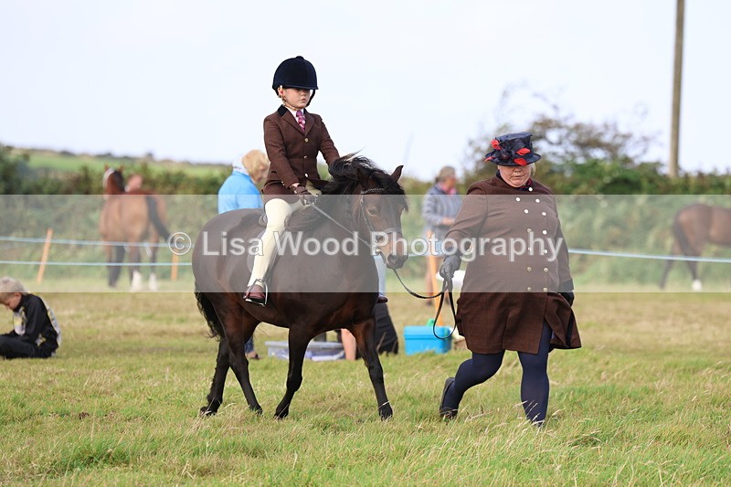 3E7A3593 - Class 2: Lead rein