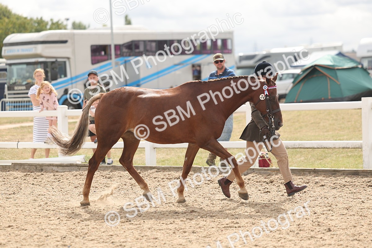 SBM_04916 - Class 20 - IH Veteran