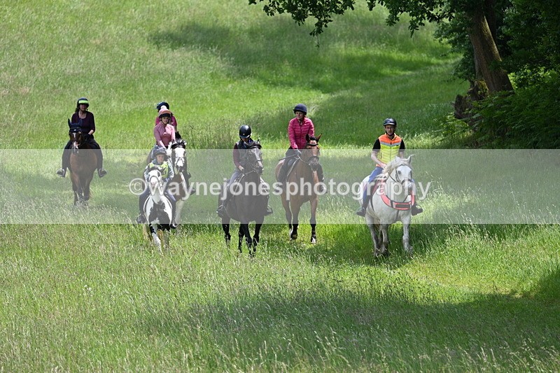 WJ7_8756 - Group 4 11am