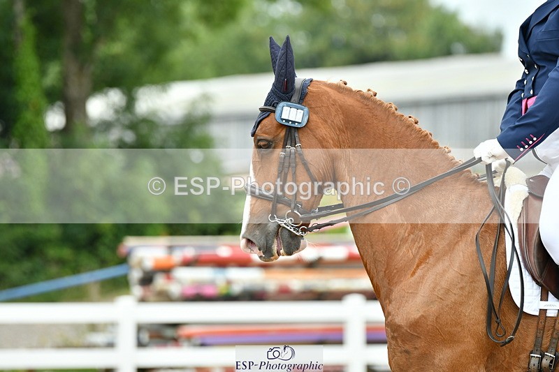 230701A-133835-06327 - Cls 12, 15 + 19 Music Medium, Adv Medium + Inter I