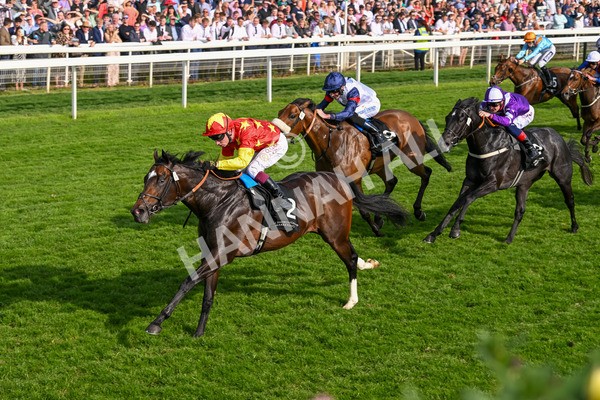 170524-Race 7-Jubilee Walk-8765 - Race 7 5.20pm Irish Thoroughbred Marketing Handicap