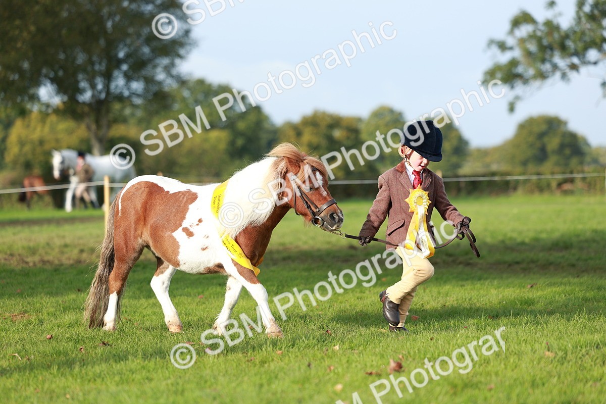 SBM_57102 - S38 - Starters Best Turnout