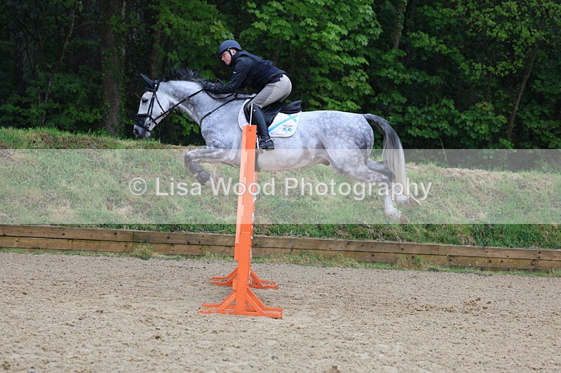 3E7A7395 - Class 8: Senior Foxhunter/1.20 open