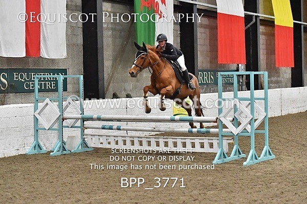 BPP_3771 - FRI CLASS 21 BR NOVICE/90CM