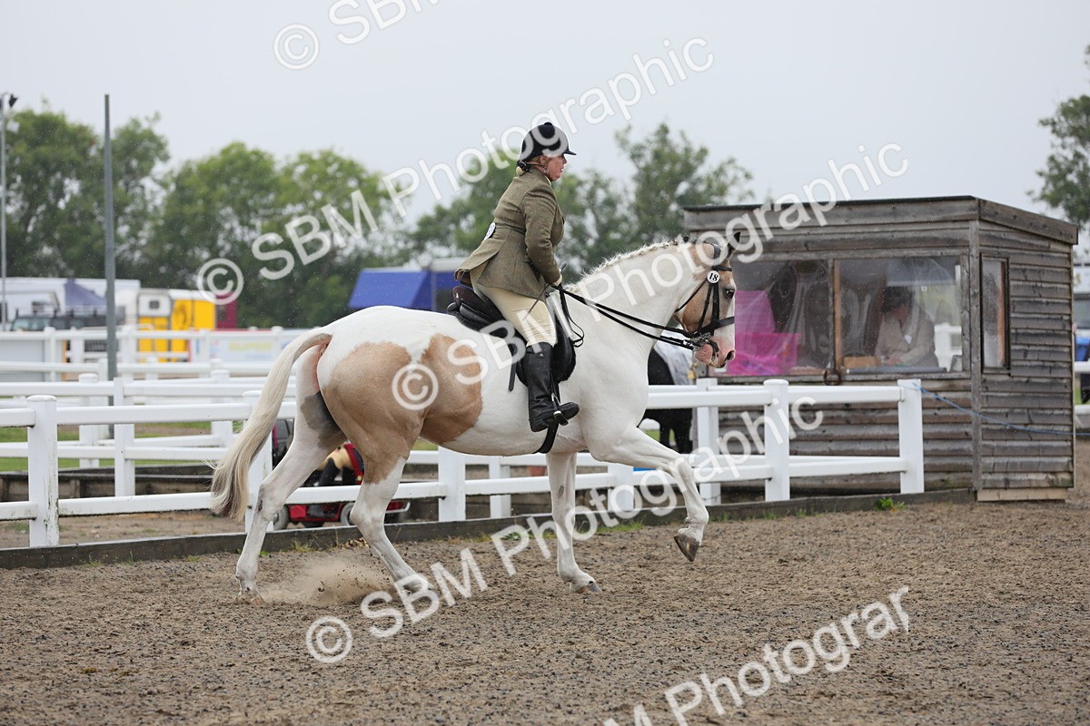 SBM_20295 - Class 803 - Ridden Combination 65+