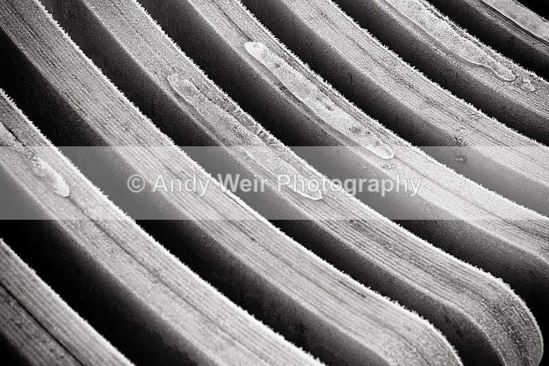 20141228-3K8A7378-3266 - Miscellaneous Photographs