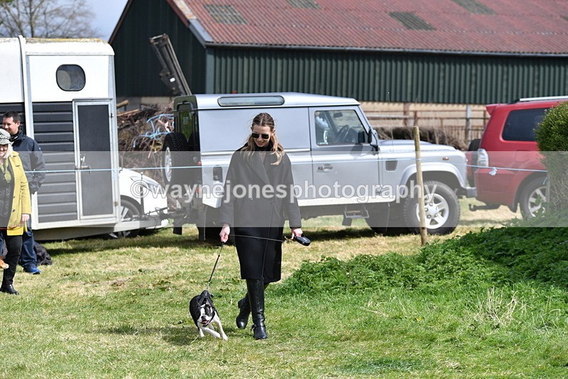 WJ5_0439 - Class 7 Best Terrier